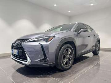 UX 2019 250h 2.0 Business 2wd cvt