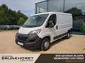 Opel Movano Cargo 140 3,5t L1H1 Edition Klimaauto+RFK+PDC Weiß - thumbnail 1