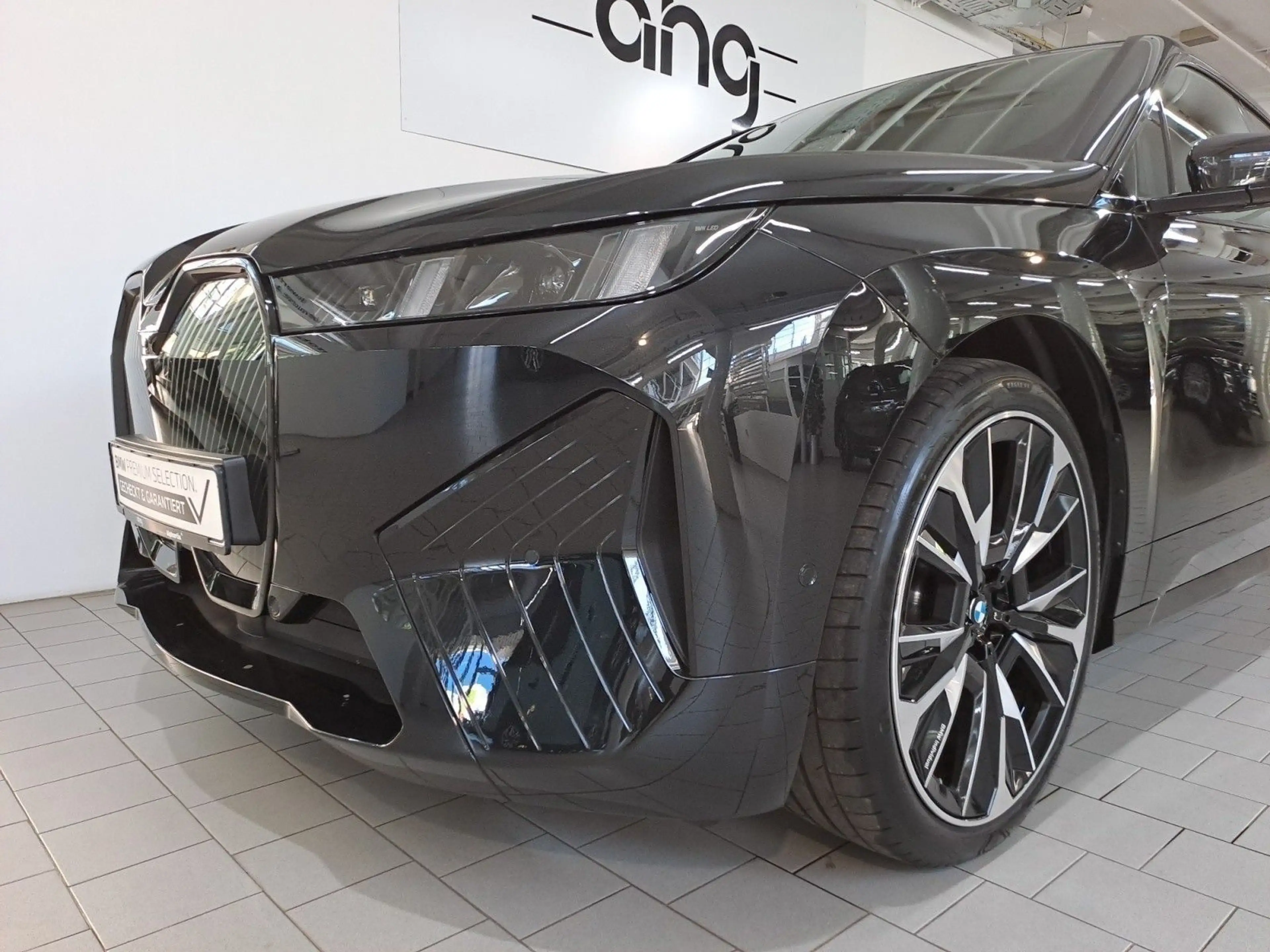 BMW iX xDrive45 23' Innovation AHK Driving Pro — photo 10