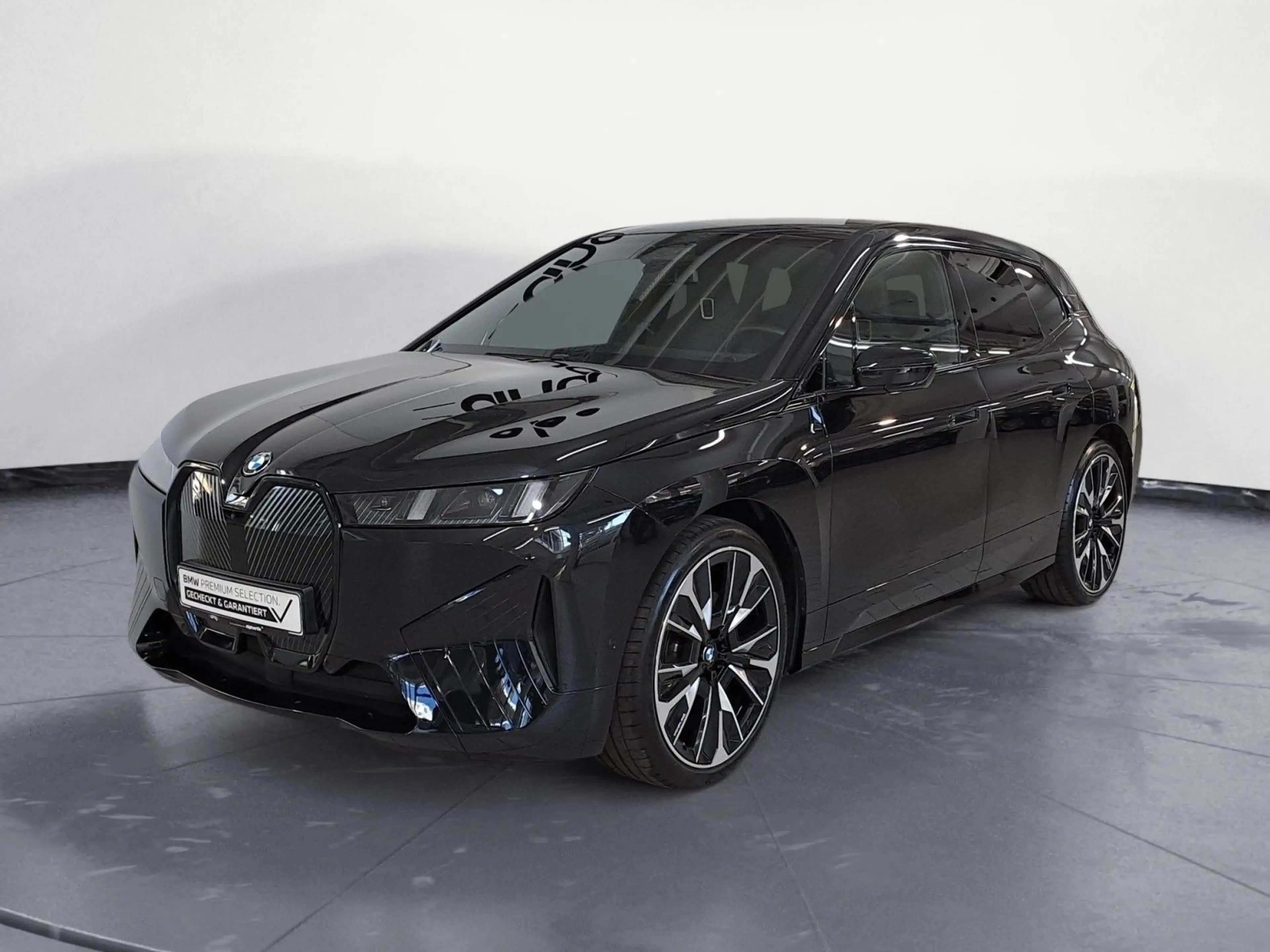 BMW iX xDrive45 23' Innovation AHK Driving Pro — photo 2