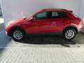 Volkswagen T-Roc Life TSI Rot - thumbnail 3