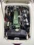 Austin-Healey 3000 MKII BT7 four two seater - thumbnail 11