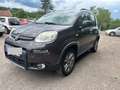 Fiat Panda Rock 4x4 *Allrad*Klima*ALU*AHK*HU10.24 Braun - thumbnail 2