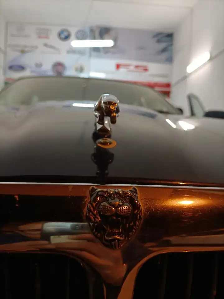 Jaguar XJ6 3.2 Daimler auto, foto 10