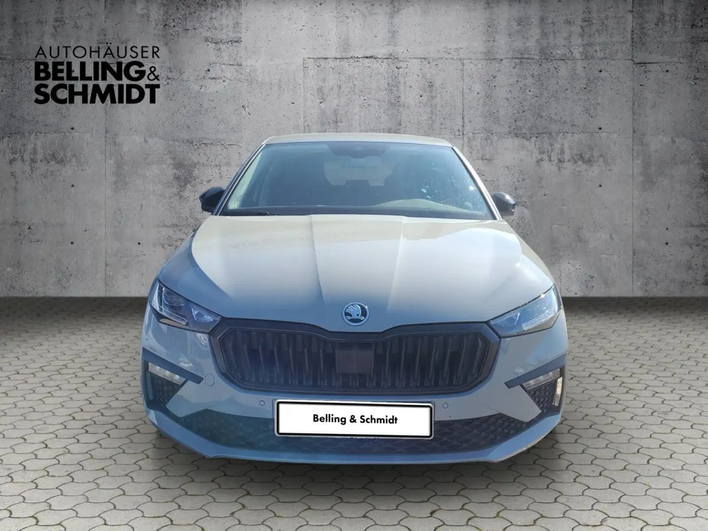 Skoda Scala Selection Bluetooth LED Klima Einparkhilfe Grau - 2