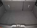 Ford Focus 1.0 Ecoboost 125CV MHEV ST Line Rojo - thumbnail 18