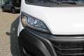 Fiat Ducato 33 2.2 MultiJet 140PK L3H2 | ACHTERUITRIJ CAMERA | Wit - thumbnail 10