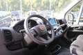 Fiat Ducato 33 2.2 MultiJet 140PK L3H2 | ACHTERUITRIJ CAMERA | Wit - thumbnail 6