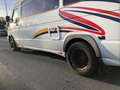 Iveco Daily 45-12,Iris Bus,Ahk,Klima,Maxi Bus Blanc - thumbnail 9