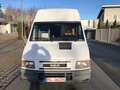Iveco Daily 45-12,Iris Bus,Ahk,Klima,Maxi Bus Blanc - thumbnail 3