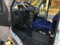 Iveco Daily 45-12,Iris Bus,Ahk,Klima,Maxi Bus Blanc - thumbnail 12