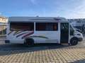 Iveco Daily 45-12,Iris Bus,Ahk,Klima,Maxi Bus Blanc - thumbnail 5