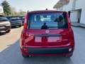 Fiat Panda 1.0 FireFly Hybrid Rosso - thumbnail 4