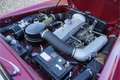 Mercedes-Benz 190 SL Roadster Fully restored and overhauled, Extensi Rood - thumbnail 49