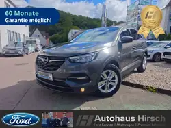 Opel Grandland (X) Business Edition LED Blendfreies Fernl ACC CarPlay