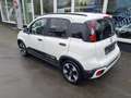 Fiat Panda Pandina Cross 1.0 Hybrid 51kW (70PS) Weiß - thumbnail 4