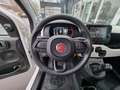Fiat Panda Pandina Cross 1.0 Hybrid 51kW (70PS) Blanco - thumbnail 9