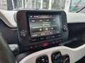 Fiat Panda Pandina Cross 1.0 Hybrid 51kW (70PS) Weiß - thumbnail 12