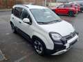 Fiat Panda Pandina Cross 1.0 Hybrid 51kW (70PS) Blanco - thumbnail 2