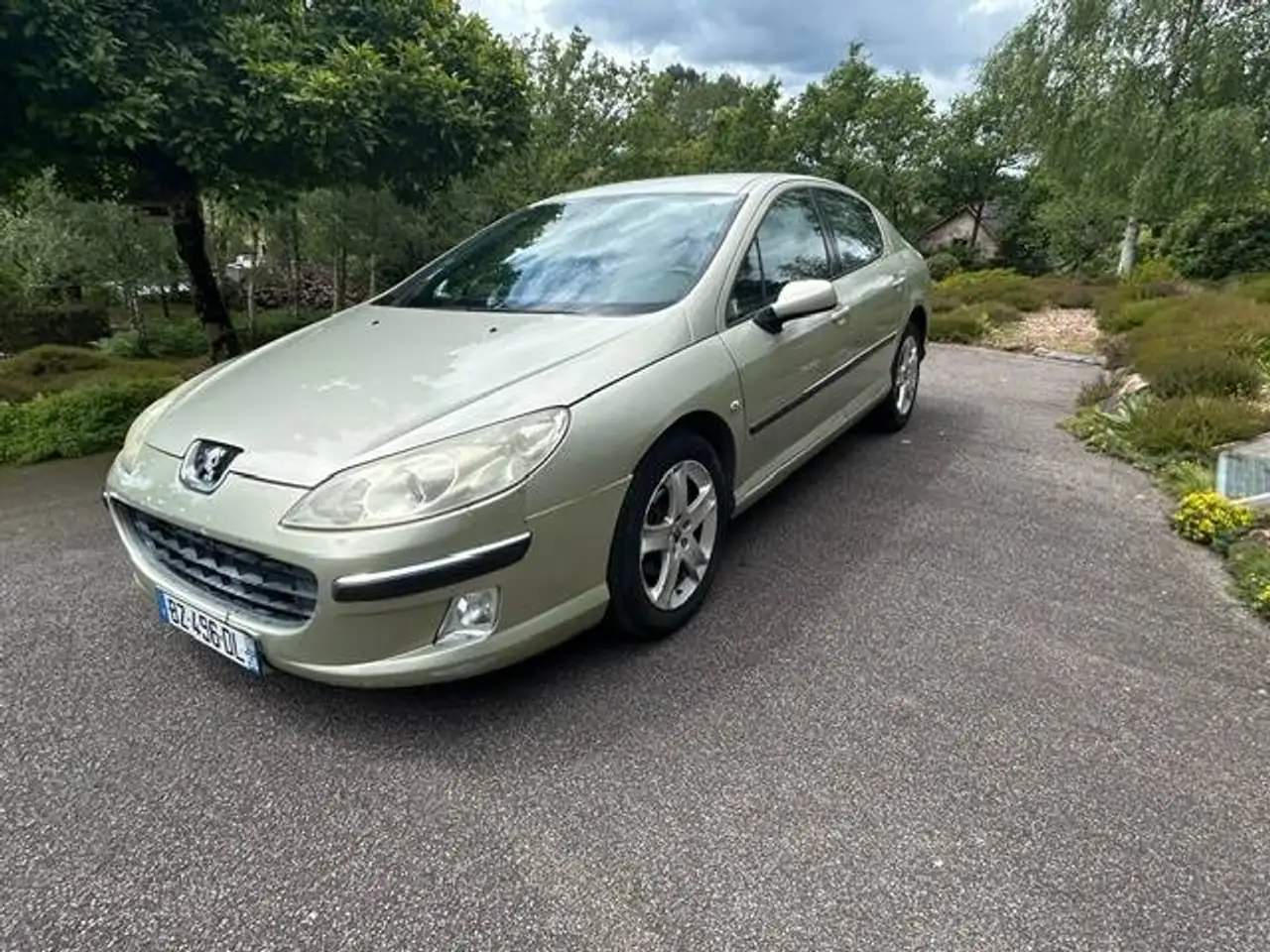 Peugeot 407 2.0 HDi 16v ExÃ©cutive FAP