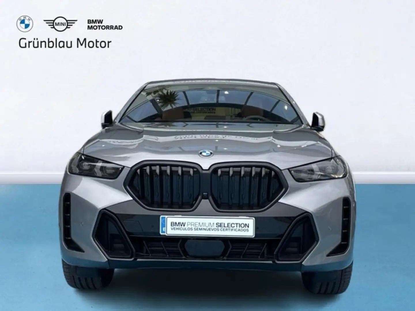 BMW X6 xDrive 30dA M Sport Gris - 2