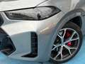 BMW X6 xDrive 30dA M Sport Gris - thumbnail 6