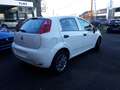 Fiat Punto 1.2i Street Wit - thumbnail 6