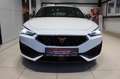 CUPRA Leon Sportstourer 2.0 TSI DSG ACC+CarPlay+elHK Klima Weiß - thumbnail 3