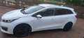 Kia Ceed SW / cee'd SW Ceed 1.6 CRDi 136 ISG SW Dream-Team Edition Blanc - thumbnail 21