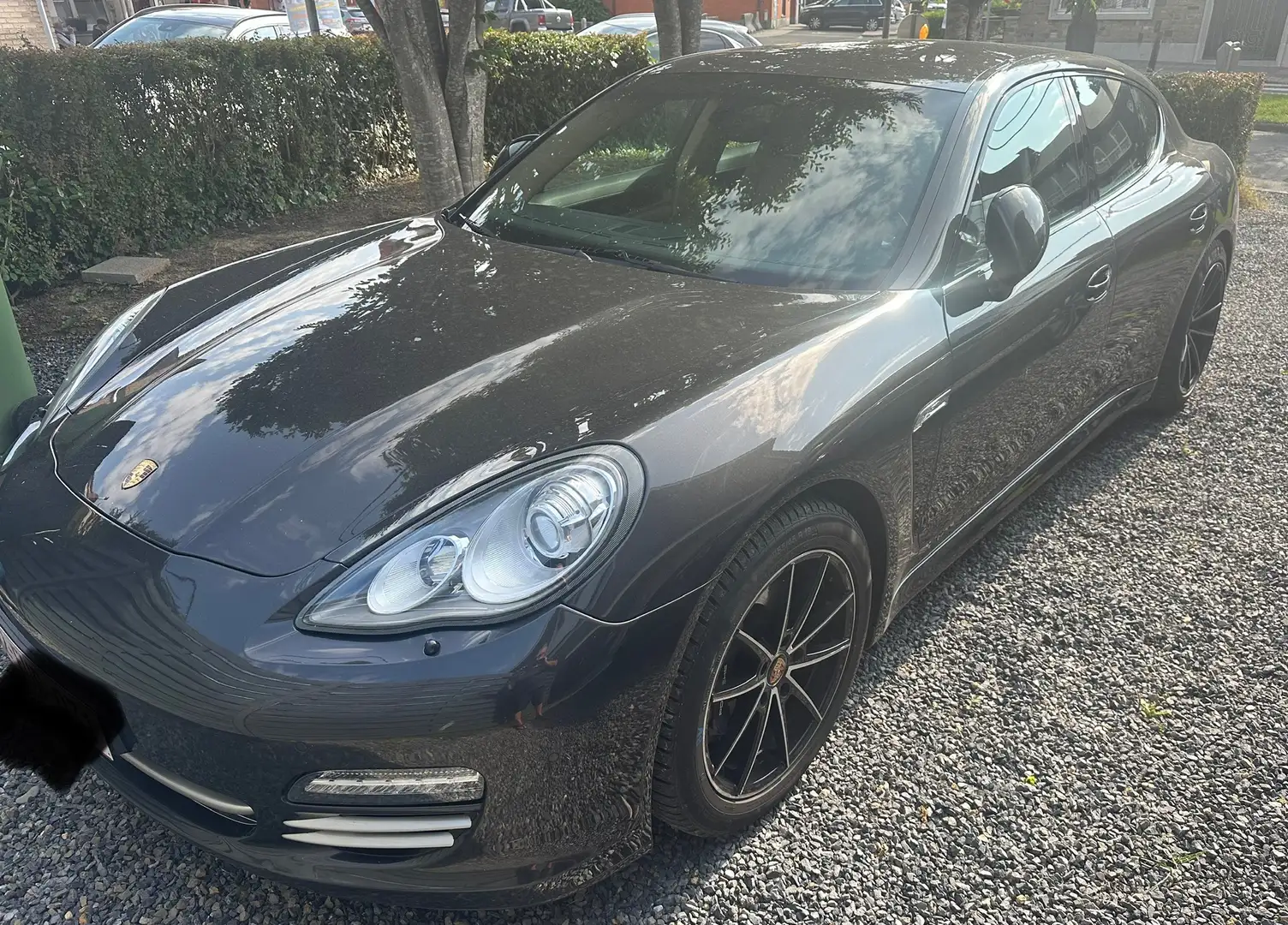 Porsche Panamera Panamera 3.0 D V6 Platinum Edition DPF Tiptronic - 1