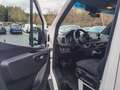 Mercedes-Benz Sprinter III Tourer RWD/AWD 311/315/317/319 CDI Blanc - thumbnail 9