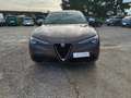 Alfa Romeo Stelvio 2.2 Turbodiesel Business rwd 160cv Grigio - thumbnail 2