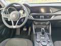 Alfa Romeo Stelvio 2.2 Turbodiesel Business rwd 160cv Grigio - thumbnail 10