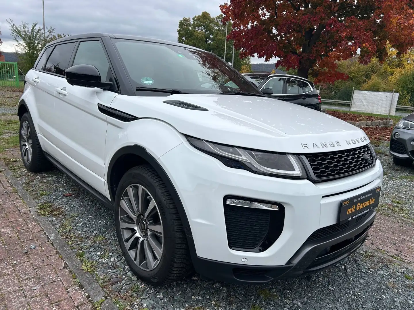 Land Rover Range Rover Evoque HSE Dynamic Standheitzung Blanc - 2