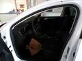 Ford Focus Active X Turnier Automatik AHK / TWA / FGS 5 Jahre Weiß - thumbnail 8