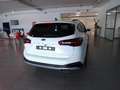 Ford Focus Active X Turnier Automatik AHK / TWA / FGS 5 Jahre Weiß - thumbnail 5