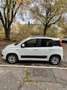 Fiat Panda 1.2 Lounge - thumbnail 1