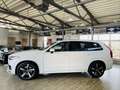 Volvo XC90 R Design AWD*7SITZER*PANO*AHK*KAMERA*2.HD.* Weiß - thumbnail 3