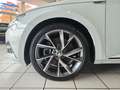 Skoda Superb Combi Sportline 4x4 Panorama LED Kamera Weiß - thumbnail 6
