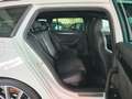 Skoda Superb Combi Sportline 4x4 Panorama LED Kamera Weiß - thumbnail 14