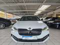 Skoda Superb Combi Sportline 4x4 Panorama LED Kamera Weiß - thumbnail 5