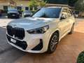 BMW X1 X1 SUBENTRO NOLEGGIO (no vendita) 18i MSport auto Alb - thumbnail 10