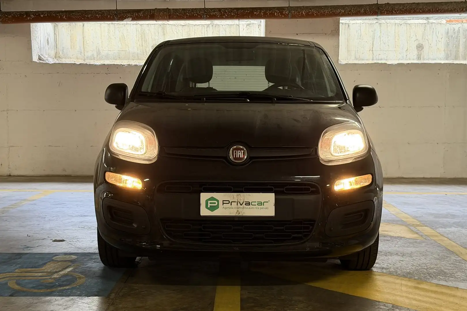Fiat Panda Panda 1.0 FireFly S&S Hybrid Noir - 2