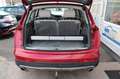 Audi Q7 4.2 TDI quattro Panorama*Standh.*AHK*Xenon*.. Rot - thumbnail 12