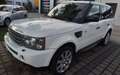 Land Rover Range Rover Sport V6 TD SE Weiß - thumbnail 6