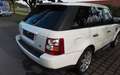 Land Rover Range Rover Sport V6 TD SE Weiß - thumbnail 7