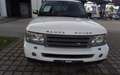 Land Rover Range Rover Sport V6 TD SE Weiß - thumbnail 5