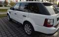 Land Rover Range Rover Sport V6 TD SE Weiß - thumbnail 9