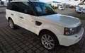 Land Rover Range Rover Sport V6 TD SE Weiß - thumbnail 1