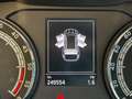 Skoda Kodiaq 2.0 TDI SCR DSG Executive (7 POSTI) Gris - thumbnail 14